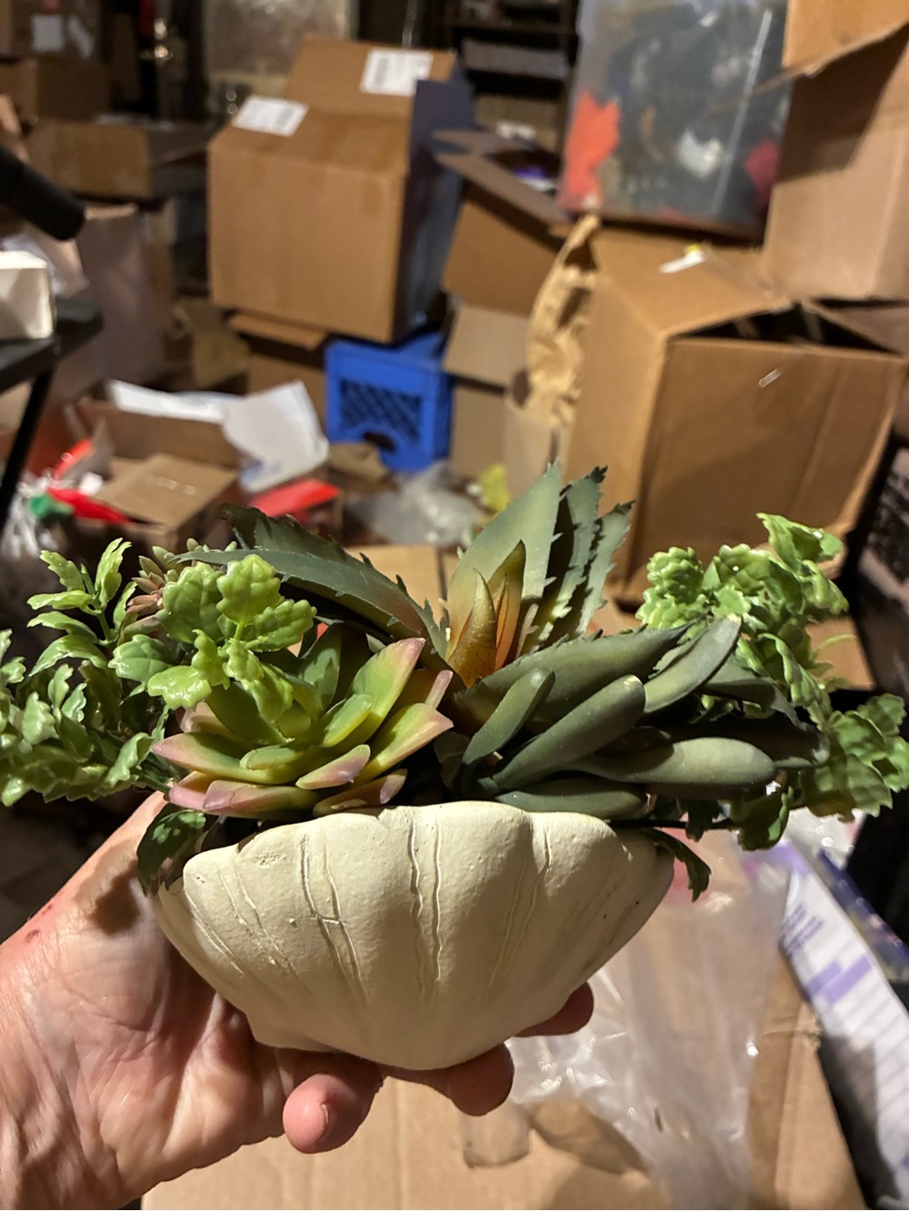 Artificial Succulent Arrangement in Cream Planter - Home Accents